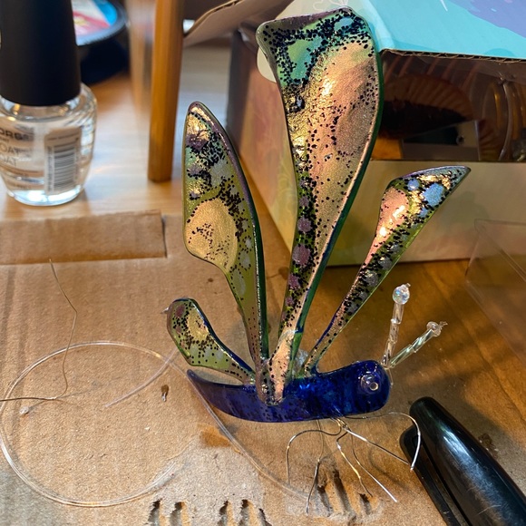 Meet your Posher, Jorie - Picture 14 of 14